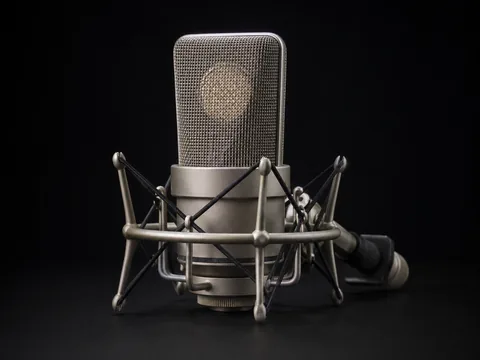 Condenser microphone