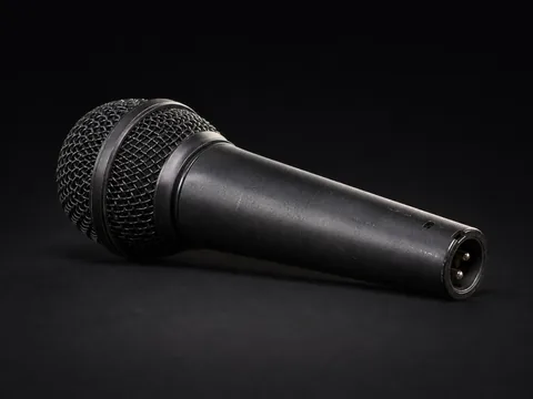 Dynamic microphone