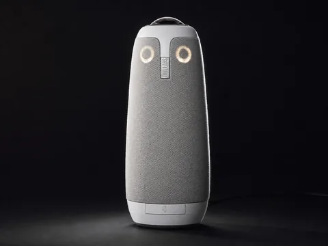 Meeting Owl 3
