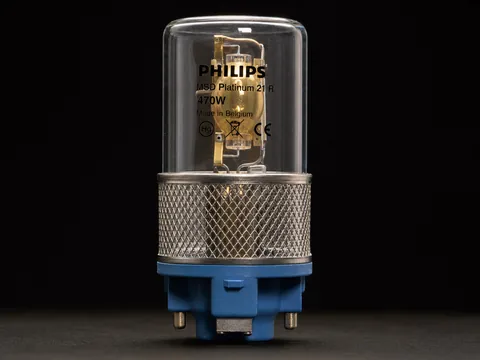 MSD Platinum 21R